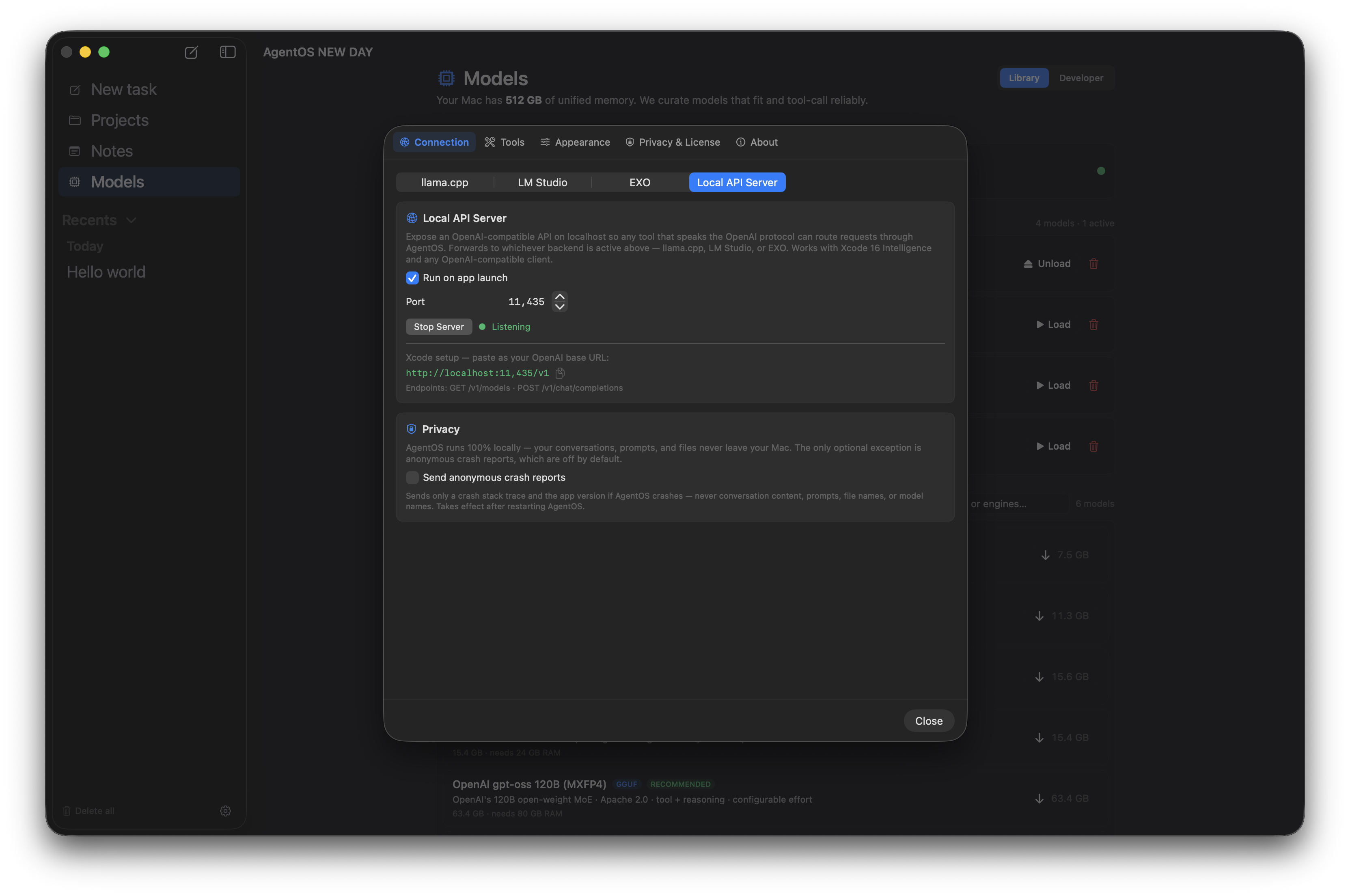 Connection settings showing the Local API Server tab listening on port 11435 for Xcode and other OpenAI clients